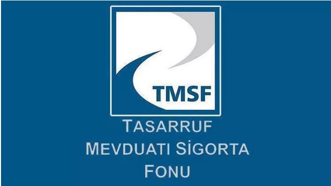 Company sale from TMSF