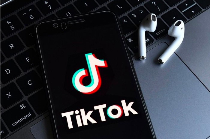 TikTok: New data reveals it will take down Facebook this year