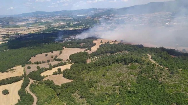 Forest fire in Çanakkale