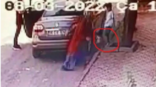 2 thousand 724 lira fine for the woman who threw the kitten on the street