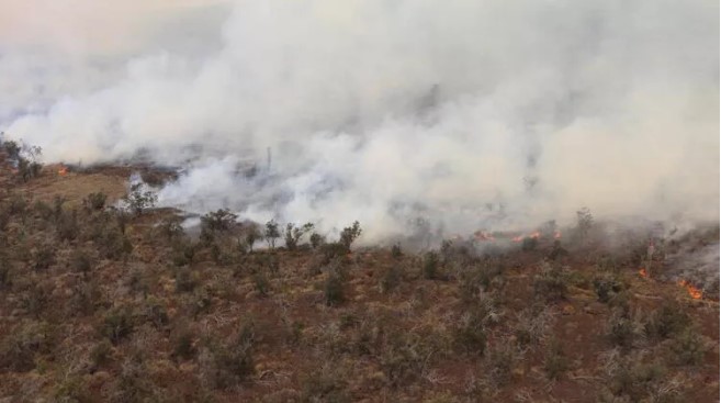 9,800 hectares burned in Hawaii