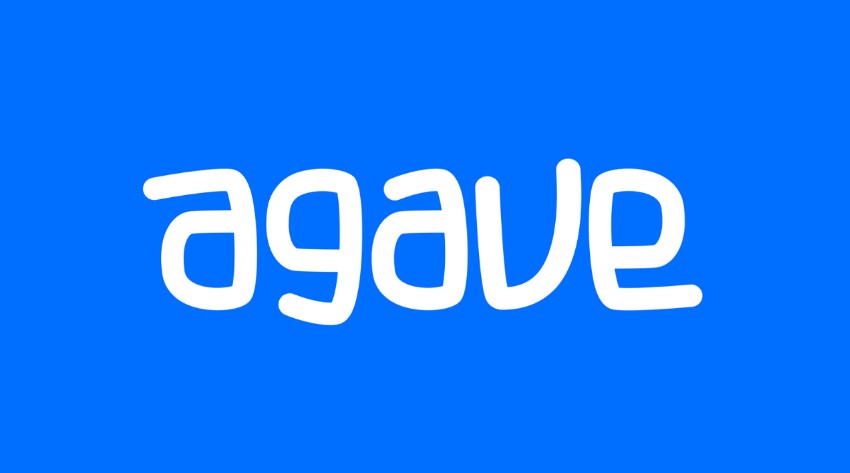 Domestic game startup Agave Games received a seed investment of 7 million dollars